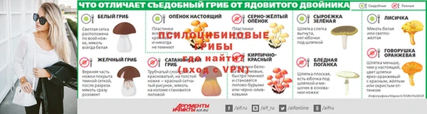 хмурый Кукмор