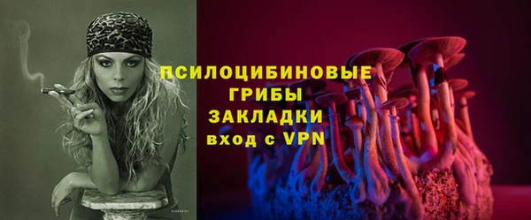 хмурый Кукмор