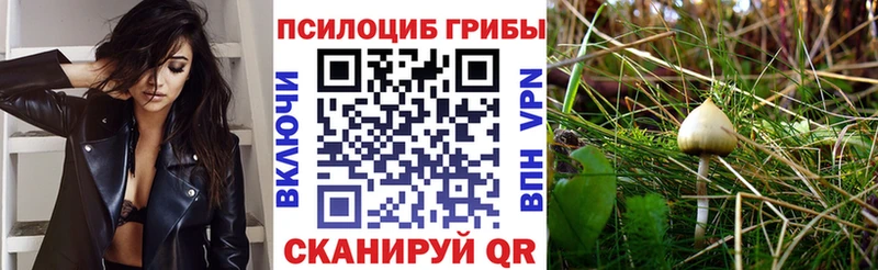 Галлюциногенные грибы мицелий  Монино 