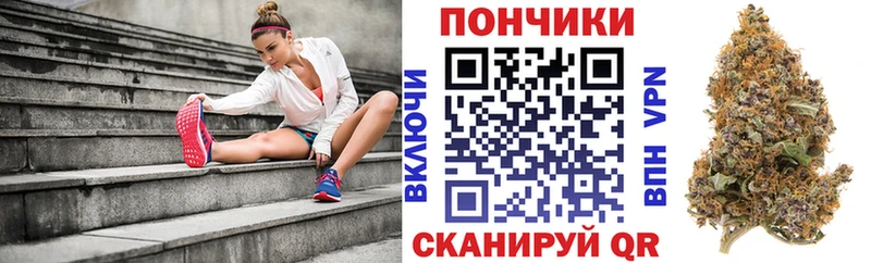 дарнет шоп  площадка наркотические препараты  Канабис индика  Монино 